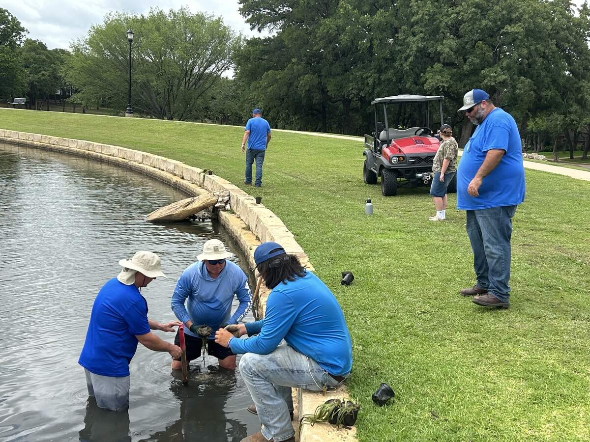 Workers and volunteers helped plant 370 native aquatic plants at Bedford Boys Ranch Lake to help rebuild the lake’s ecosystem after several fish died last year due to a spike in chlorine levels from an unknown source.